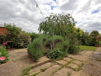 Picture 20
